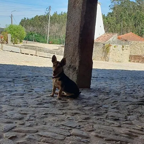 Дом отдыха Casa Do Forno De Cal